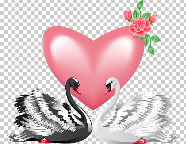 Black Swan PNG, Clipart, Animal, Animals, Cartoon, Cartoon Couple, Couple Rings Free PNG Download