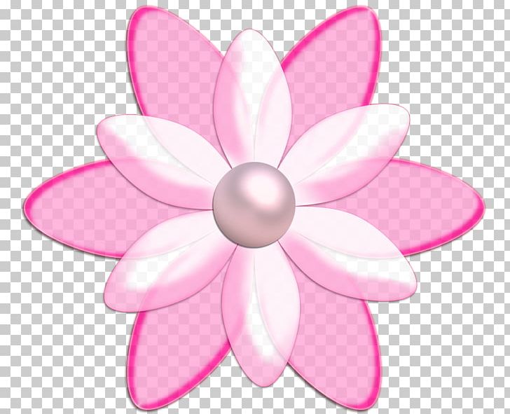 Petal Flower Information PNG, Clipart, Clip Art, Desktop Wallpaper, Digital Image, Flores, Flower Free PNG Download