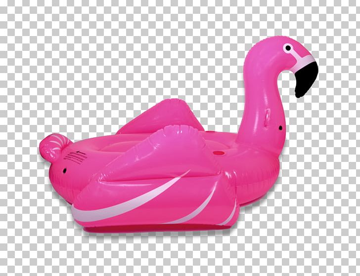 Flamingo Swim Ring Swimming Pool Web Browser PNG, Clipart, 2048, Beak, Bird, Download, Flamingo Free PNG Download