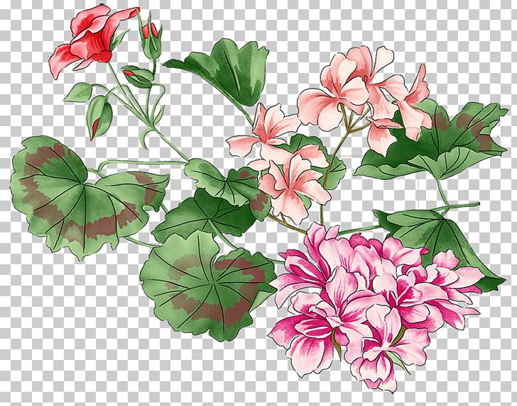 Flower Plant PNG, Clipart, Annual Plant, Cut Flowers, Download, Flora, Floral Design Free PNG Download
