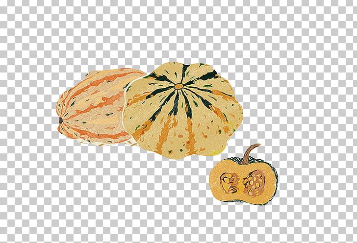 Calabaza Pumpkin Pie Squash Soup PNG, Clipart, Calabaza, Cucurbita, Cut, Cut Pumpkin, Download Free PNG Download