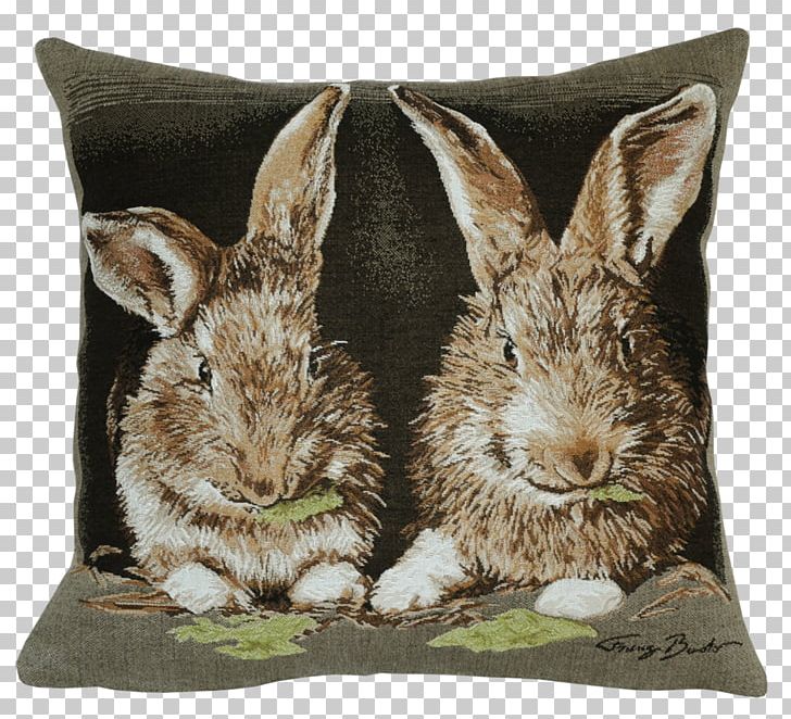 Domestic Rabbit Cushion Throw Pillows European Rabbit PNG, Clipart, Alphonse, Belgium, Cart, Cushion, Domestic Rabbit Free PNG Download