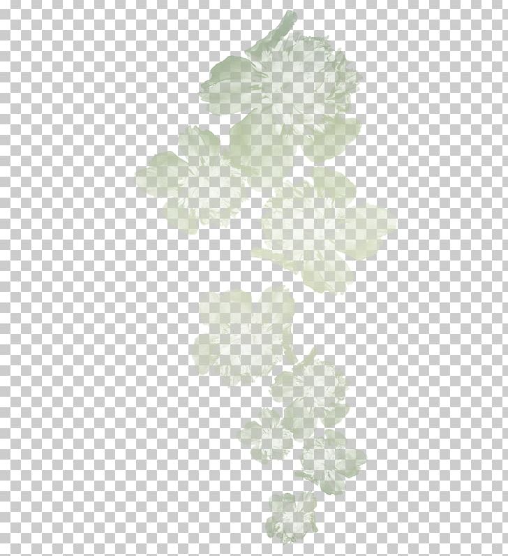 Petal Flower Garden Roses PNG, Clipart, Cut Flowers, Flower, Flower Bouquet, Garden Roses, Home Page Free PNG Download