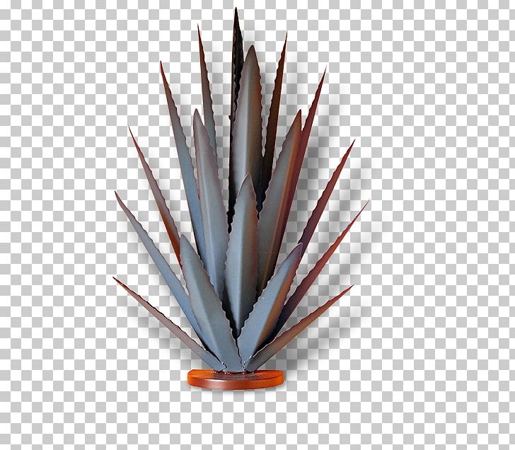 Agave Azul Mexican Cuisine Tequila Jalisco Blue Agave PNG, Clipart, Agave, Agave Azul, Blue Agave, Cuisine, Ingredient Free PNG Download