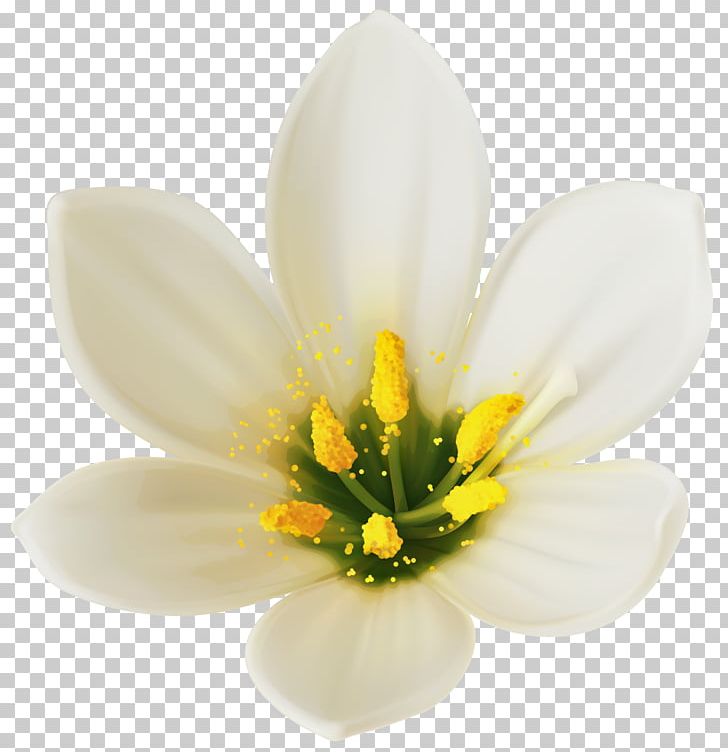 Flower Bouquet White PNG, Clipart, Art White, Clipart, Clip Art, Color, Flora Free PNG Download