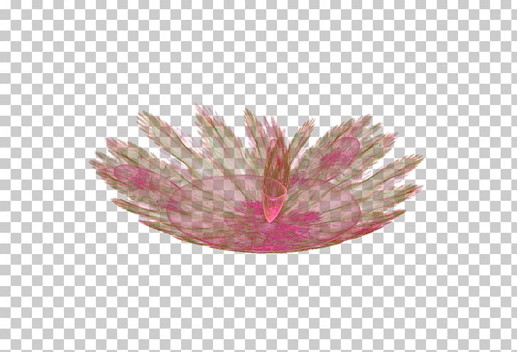 TinyPic Ping PNG, Clipart, Arka Fon, Blog, Color, Flower, Fractal Free PNG Download