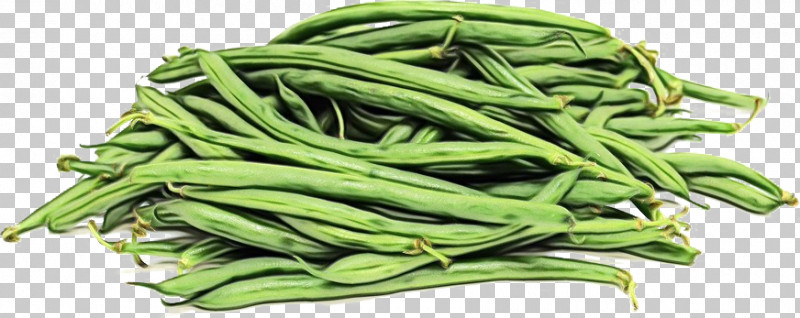 Green Beans Vegetable Bean Lima Bean Commodity PNG, Clipart, Bean ...