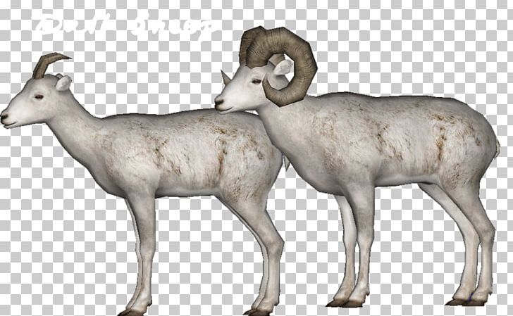 Argali Deer Mr. Krabs Antelope Sheep PNG, Clipart, Animal, Animals, Antelope, Argali, Bighorn Free PNG Download