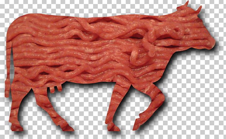 Cattle University Of California PNG, Clipart, Beef, Cancer, Cattle, Cattle Like Mammal, Causes Of Cancer Free PNG Download