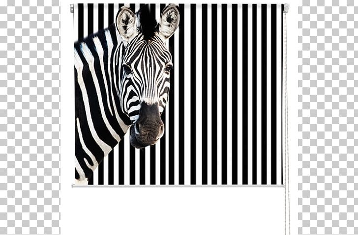 Printing Zebra Business Photograph Poster PNG, Clipart, Advertising, Animal Print, Art, Black, Black And White Free PNG Download