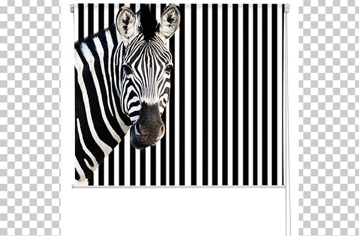 Printing Zebra Business Photograph Poster PNG, Clipart, Advertising ...