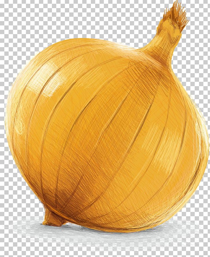 Yellow Onion Calabaza Pumpkin Vegetable PNG, Clipart, Car, Cartoon, Food, Fruit, Gourd Free PNG Download