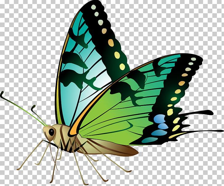 Butterfly Stock Photography PNG, Clipart, Aglais Io, Brush Footed Butterfly, Butterfly, Encapsulated Postscript, Heart Free PNG Download