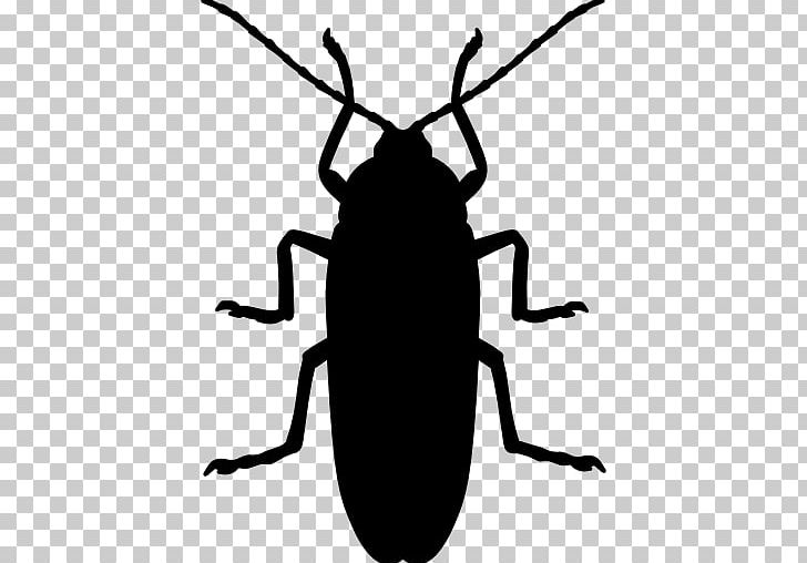 Cockroach Ant Beetle Pest PNG, Clipart, Animal, Animals, Ant, Arthropod, Artwork Free PNG Download
