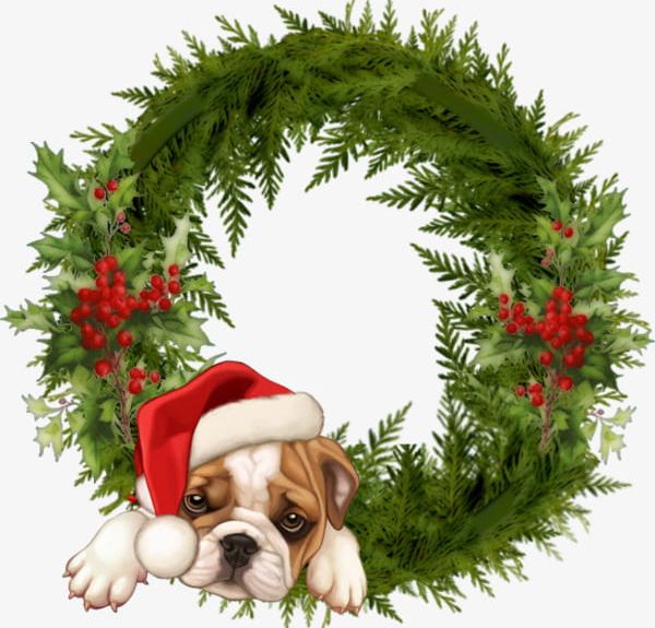 Green Christmas Wreath PNG, Clipart, Christma, Christmas, Christmas Clipart, Christmas Pictures, Christmas Wreath Free PNG Download