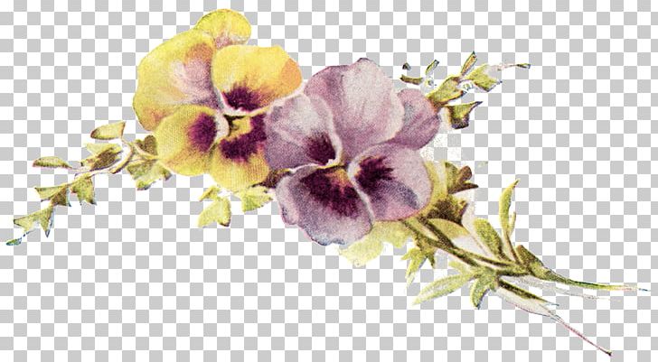 Pansy Flower Design PNG, Clipart, Antique, Cut Flowers, Drawing, Floral Design, Flower Free PNG Download