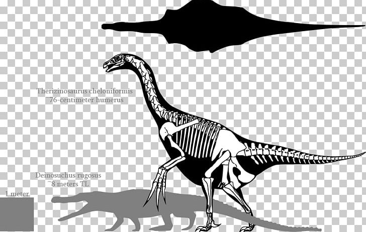 Tyrannosaurus Therizinosaurus Deinosuchus Deinocheirus PNG, Clipart, Albertosaurus, Beak, Bird, Bite Force Quotient, Biting Free PNG Download