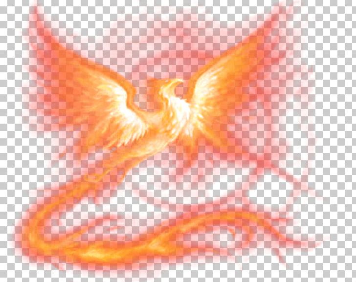 Angel M Legendary Creature PNG, Clipart, Angel, Angel M, Fictional Character, Flaming Phenix, Legendary Creature Free PNG Download
