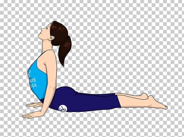 Bhujangasana Bikram Yoga Exercise Abdomen PNG, Clipart, Abdominal Obesity, Aerobics, Arm, Balance, Buttocks Free PNG Download