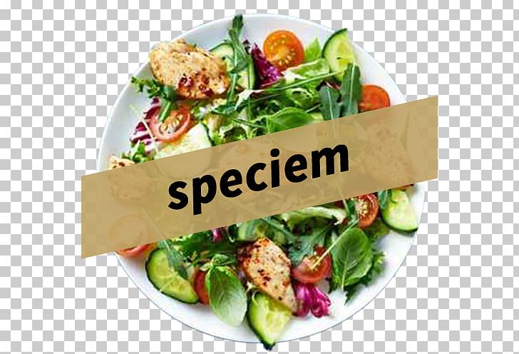 Food Eating Barbecue Chicken Salad Health PNG, Clipart, Barb, Caesar Salad, Chicken As Food, Cuisine, Diet Food Free PNG Download