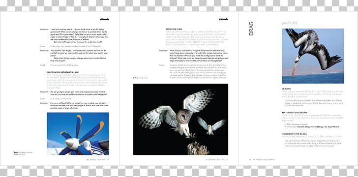 Graphic Design Owl Poster PNG, Clipart, Advertising, Art, Barn Owl, Brand, Brochure Free PNG Download