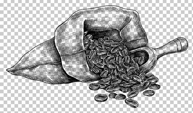 Drawing Mortar And Pestle PNG, Clipart, Drawing, Mortar And Pestle Free PNG Download