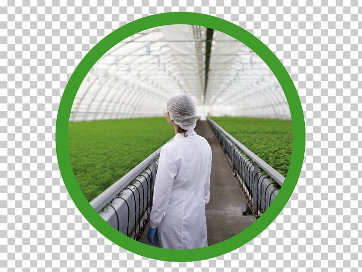 Agriculture Agricultural Science Stock Photography Research Biotechnology PNG, Clipart, Agricultural Science, Agriculture, Biotechnology, Blood Sugar, Business Free PNG Download