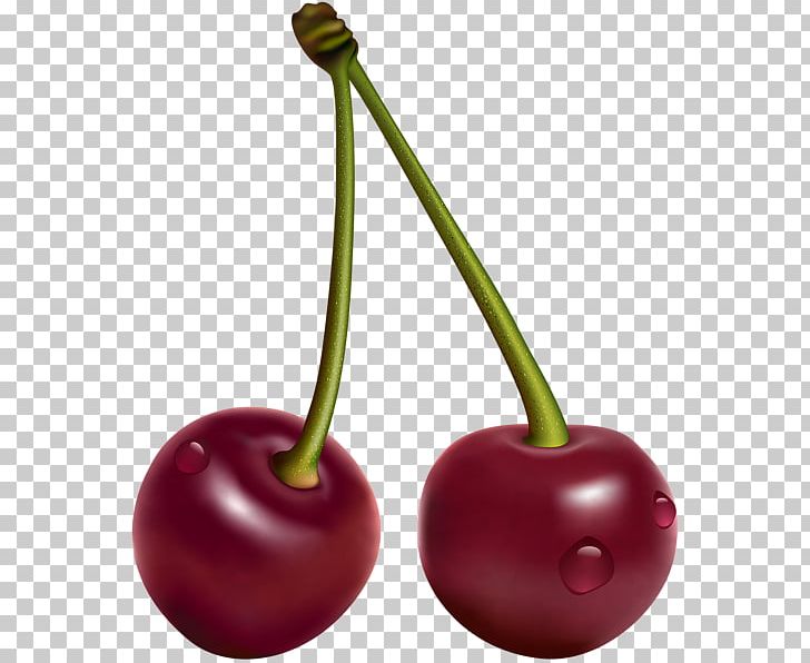 Cherry Fruit PNG, Clipart, 3d Computer Graphics, Art, Carambola, Cherry, Food Free PNG Download