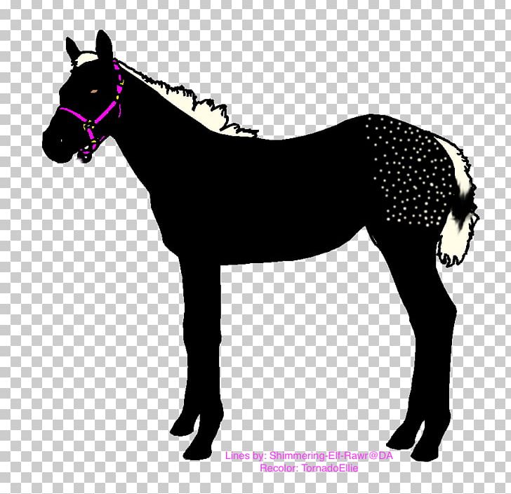 Daliboz Equestrian Arabian Horse Horse Racing Horse Harnesses PNG, Clipart,  Free PNG Download