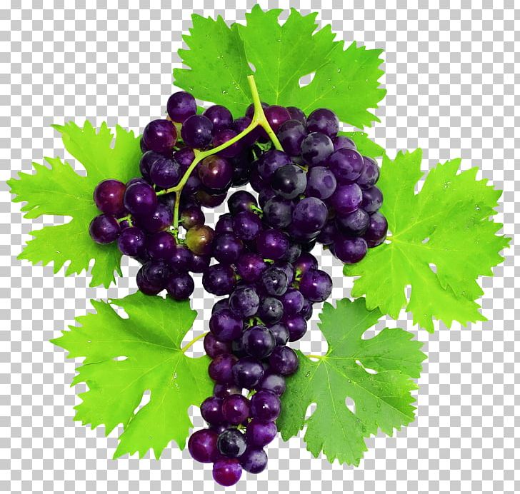 Pinot Noir Grape Fruit Leaf PNG, Clipart, Currant, Flowering Plant, Food, Fruit, Fruit Nut Free PNG Download