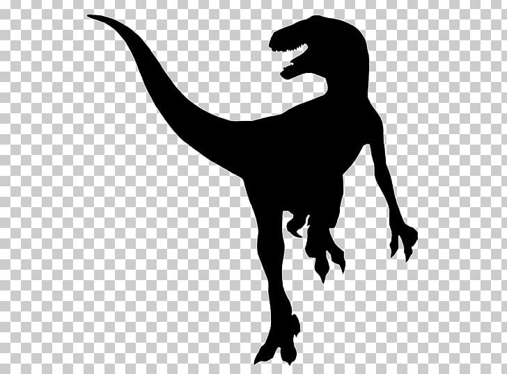 Velociraptor Dinosaur Car Sticker Lincoln PNG, Clipart, Animal, Black And White, Car, Decal, Dinosaur Free PNG Download