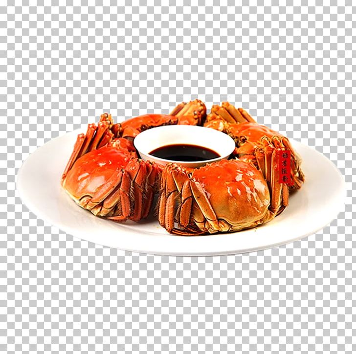 Yangcheng Lake Large Crab Chinese Mitten Crab Suzhou PNG, Clipart, Animal Source Foods, Aquatic, Aquatic Product, Cartoon Crab, Chela Free PNG Download