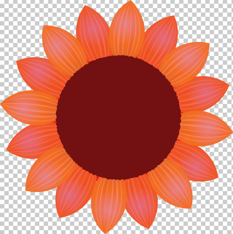Sunflower Petal Flower PNG, Clipart, Daisy Family, Flower, Gazania, Gerbera, Orange Free PNG Download
