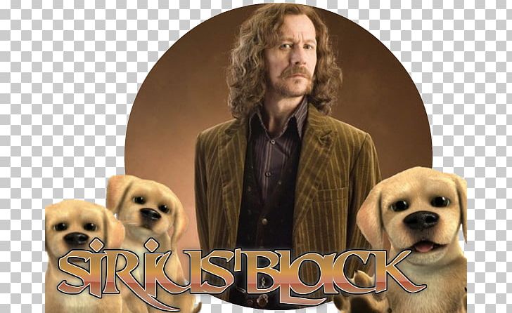 Gary Oldman Dog Breed Puppy Jean-Baptiste Emanuel Zorg Retriever PNG, Clipart, Animals, Breed, Carnivoran, Companion Dog, Crossbreed Free PNG Download