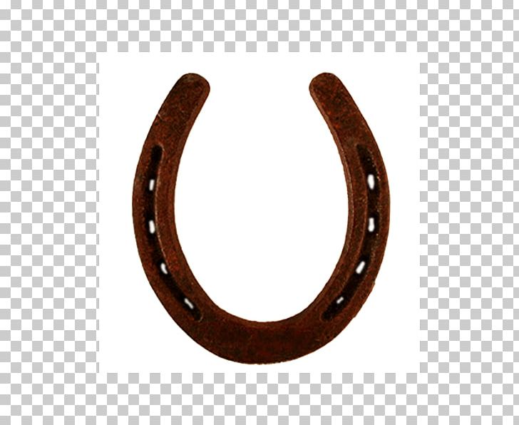 Horseshoe Horse Tack Luck Animal PNG, Clipart, Akik, Animal, Anne Hathaway, Feng Shui, Good Luck Charm Free PNG Download