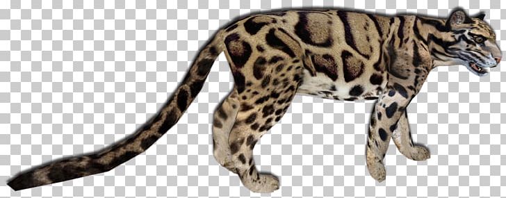 Wildcat Ocelot Cheetah Leopard PNG, Clipart, Animal, Animal Figure, Animals, Big Cat, Big Cats Free PNG Download