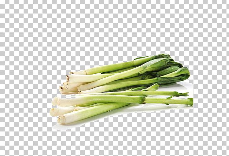 Allium Fistulosum Onion Leek Scallion PNG, Clipart, Allium, Asparagus, Background, Encapsulated Postscript, Food Free PNG Download