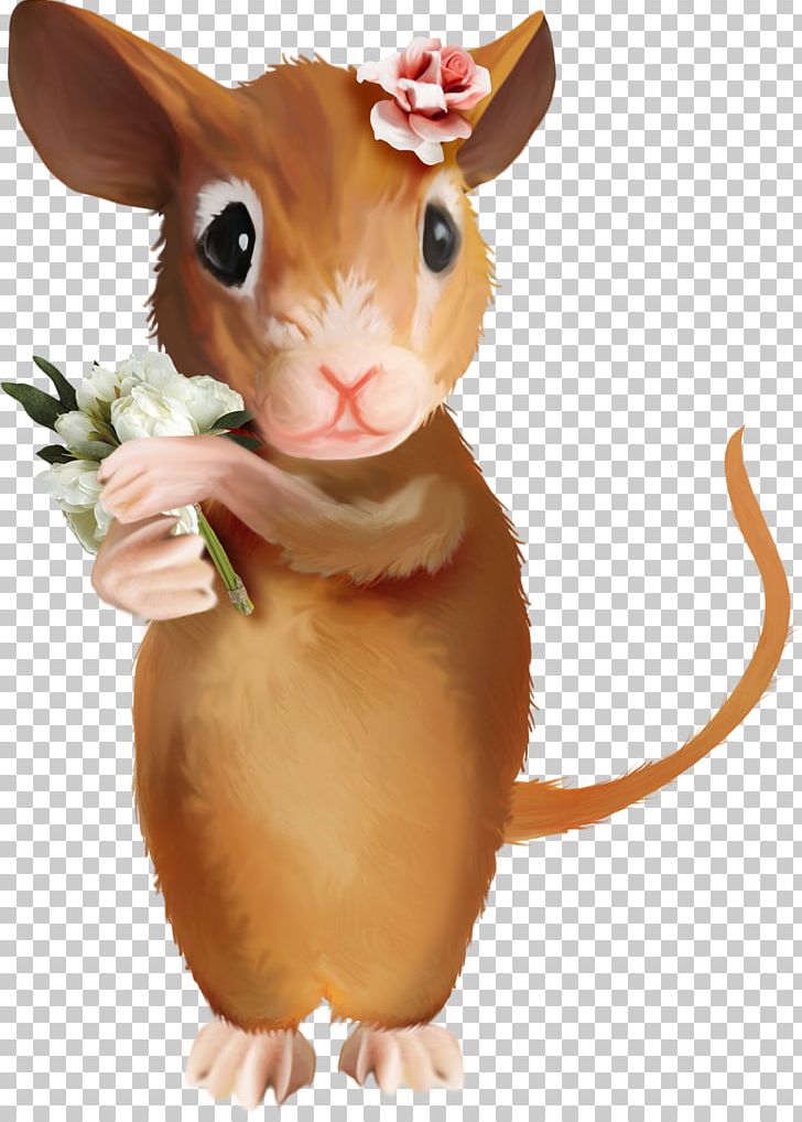 Computer Mouse Rat PNG, Clipart, Animal, Animals, Computer Mouse, Fauna, Hamster Free PNG Download