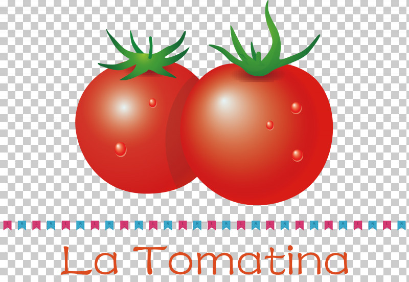 La Tomatina Tomato Throwing Festival PNG, Clipart, Apple, Bush Tomato, Datterino Tomato, La Tomatina, Local Food Free PNG Download