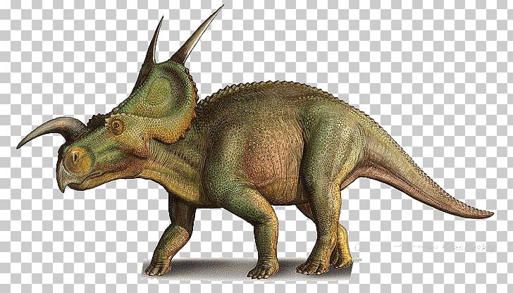 Einiosaurus Pentaceratops Late Cretaceous Dilophosaurus Achelousaurus PNG, Clipart, Achelousaurus, Archosaur, Art, Ceratopsidae, Cretaceous Free PNG Download