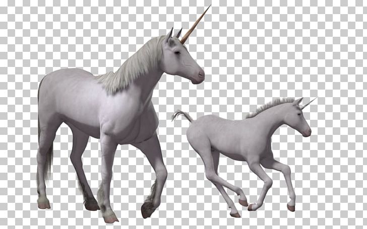 Foal Mustang Stallion Colt Mare PNG, Clipart, 3 D Render, Cartoon, Colt, Computer Icons, Drawing Free PNG Download