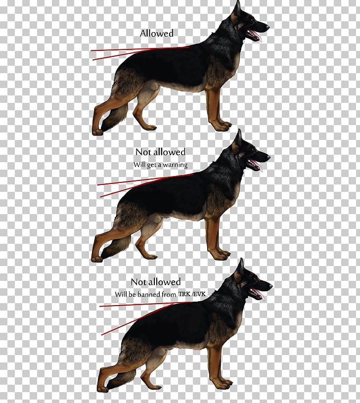 German Shepherd Kunming Wolfdog Collar Leather Dog Breed PNG, Clipart, Breed, Carnivoran, Collar, Dog, Dog Breed Free PNG Download