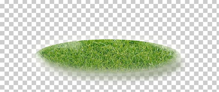 Grasses Font PNG, Clipart, Artificial Grass, Cartoon Grass, Circle, Creative Grass, Family Free PNG Download