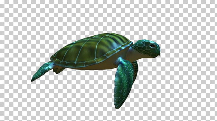 Green Sea Turtle Animation PNG, Clipart, Animal, Animals, Animation, Aquatic Animal, Cartoon Free PNG Download