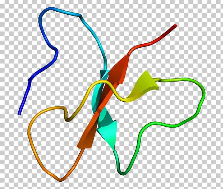 Beta Defensin Beta-defensin 2 Beta-defensin 3 Beta Hairpin PNG, Clipart, Alpha Helix, Amino Acid, Antimicrobial Peptides, Area, Beta Free PNG Download
