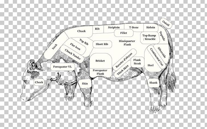 Hereford Cattle Cut Of Beef Angus Cattle Drawing PNG, Clipart, Animal Figure, Beef, Beef Shank, Cattle, Cattle Like Mammal Free PNG Download