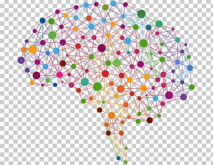 Human Brain Pineal Gland Brain Tumor Visual Perception PNG, Clipart, Area, Brain, Brainstem, Brain Tumor, Circle Free PNG Download