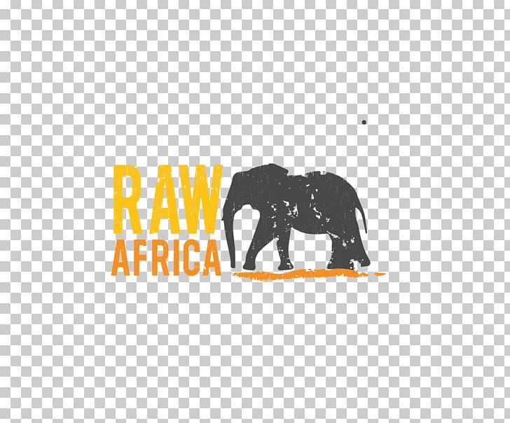 Indian Elephant African Elephant Logo Prutataaa Brand PNG, Clipart, African Elephant, Brand, Curtiss C46 Commando, Dada Life, Elephant Free PNG Download