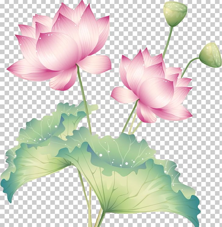 Photography Buddhism PNG, Clipart, Aquatic Plant, Bud, Buddhism, Computer Wallpaper, Cut Flowers Free PNG Download
