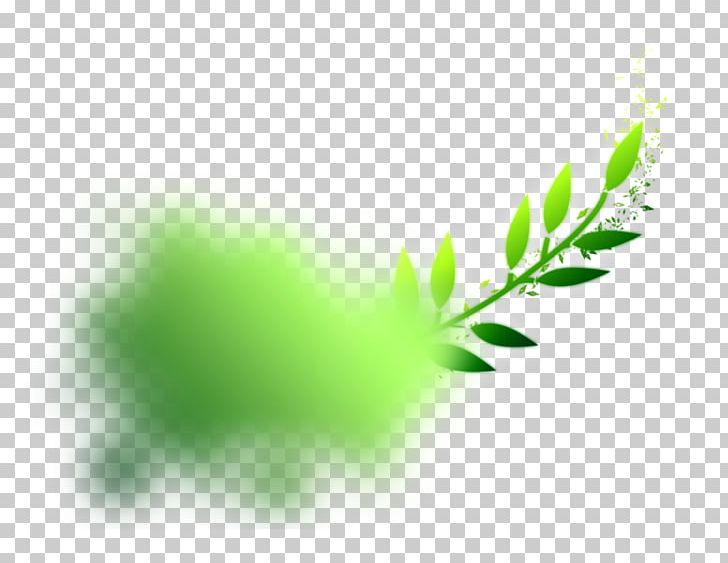 Cloud Green Computer Icons PNG, Clipart, Alternative Medicine, Art, Branch, Clip Art, Closeup Free PNG Download